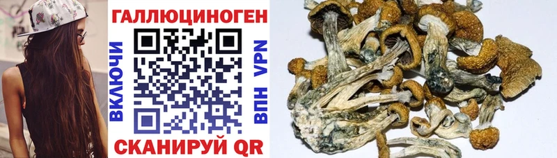 Галлюциногенные грибы мухоморы  дарнет шоп  Сафоново 
